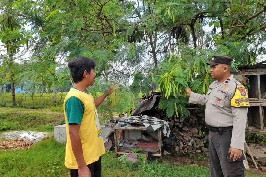 Dukung Ketahanan Pangan, Bhabinkamtibmas Desa Bantengan Dampingi Warga Manfaatkan Lahan Pekarangan