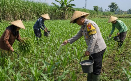 Pak Bhabin Penggerak Ketahanan Pangan, Dampingi Petani Jagung di Kota Malang