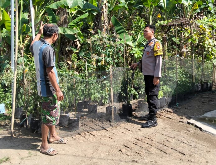 Pekarangan Produktif Jadi Solusi Dukung Ketahanan Pangan di Banyukambang