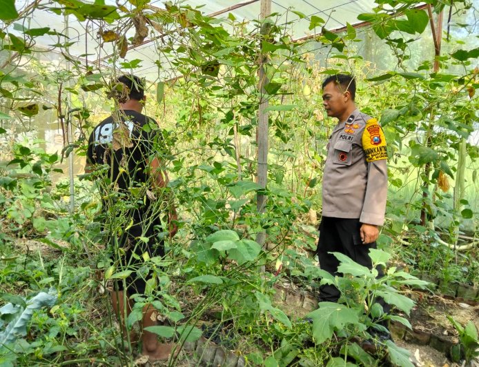 Bhabinkamtibmas Desa Banyukambang Ajak Warga Manfaatkan Pekarangan Rumah untuk Dukung Ketahanan Pangan