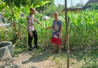Polsek Pilangkenceng Dorong Masyarakat Manfaatkan Pekarangan Menjadi Lahan Produktif