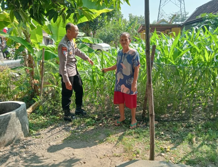 Polsek Pilangkenceng Dorong Masyarakat Manfaatkan Pekarangan Menjadi Lahan Produktif