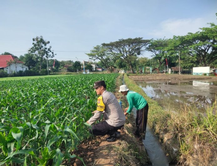 Bhabinkamtibmas Desa Glonggong Dorong Pemanfaatan Pekarangan dan Sawah untuk Mendukung Ketahanan Pangan