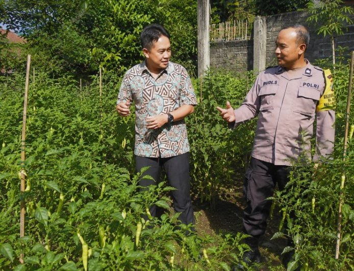 Cabai Mulai Berbuah Lebat, Bhabinkamtibmas Desa Durenan Apresiasi Ketekunan Warga Merawat Kebun